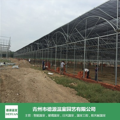 薄膜連棟溫室 花卉與蔬菜種植的經濟選擇與造價解析