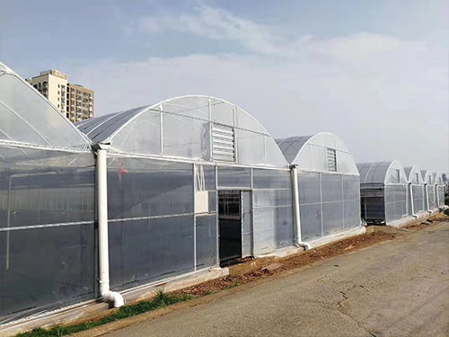 夢洋溫室薄膜 專業訂制，助力花卉溫室高產高效