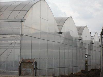 【限時(shí)大折扣】解析上海普拉斯克PEP利得膜 高品質(zhì)大棚薄膜配件如何賦能現(xiàn)代溫室工程