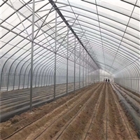 連棟薄膜溫室大棚 結(jié)構(gòu)解析、價(jià)格因素與大棚薄膜選型指南