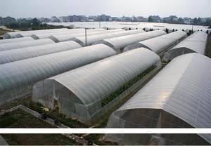 塑料薄膜在現(xiàn)代農(nóng)業(yè)與生活中的多功能應(yīng)用